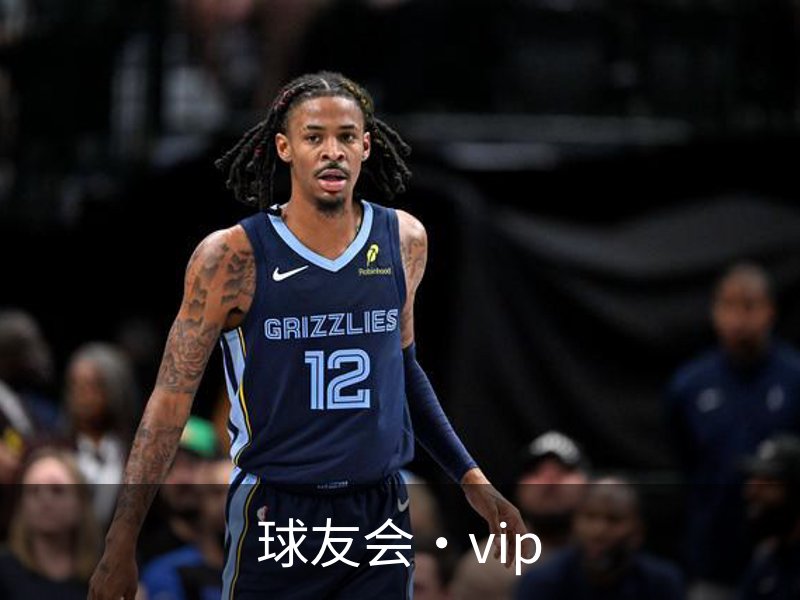 球友会·vip介绍